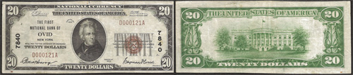 1929 $20 Twenty Dollar Bill National Currency Bank Note